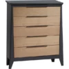 Nest Juvenile Flexx 5-Drawer Dresser 1 Nest Juvenile Flexx 5-Drawer Dresser -Babyletto Store Flexx 5T Dresser charcoal fdd5ab50 5b43 463d 8edc 0418b16edd4e